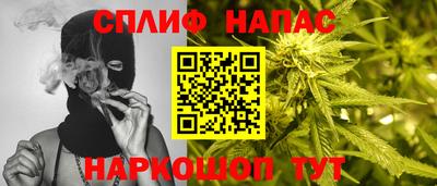 a pvp Славгород