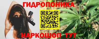 спиды Сланцы