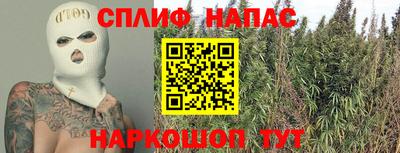 спиды Сланцы