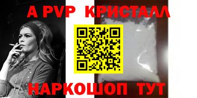 спиды Сланцы